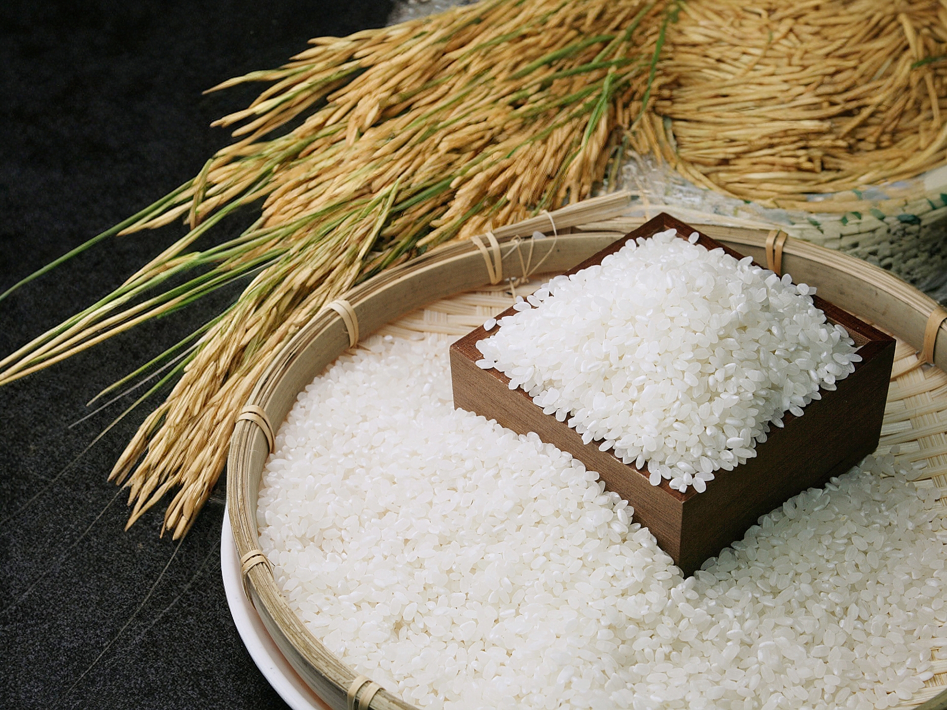 令和7年度産の新米入荷いたしました